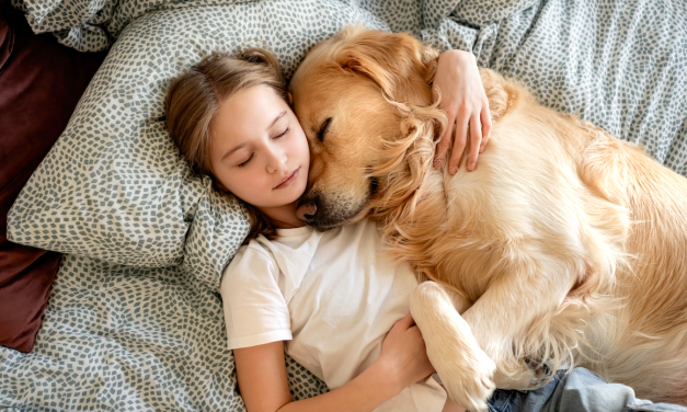 Jongeren slapen het vaakst met een huisdier in bed